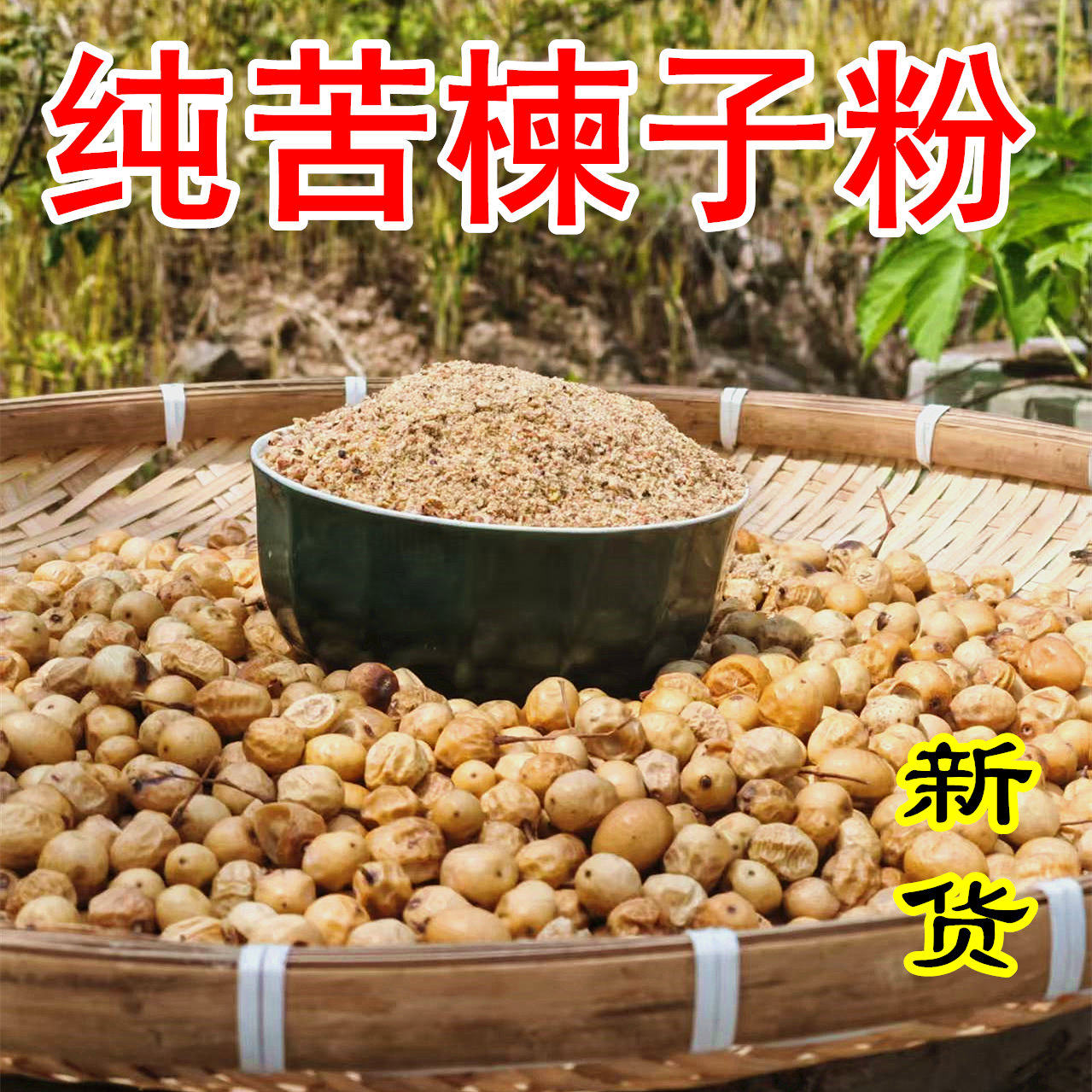 纯苦楝子粉 山东野生楝实新鲜金铃子 中药材蔬菜杀虫剂驱虫川楝子