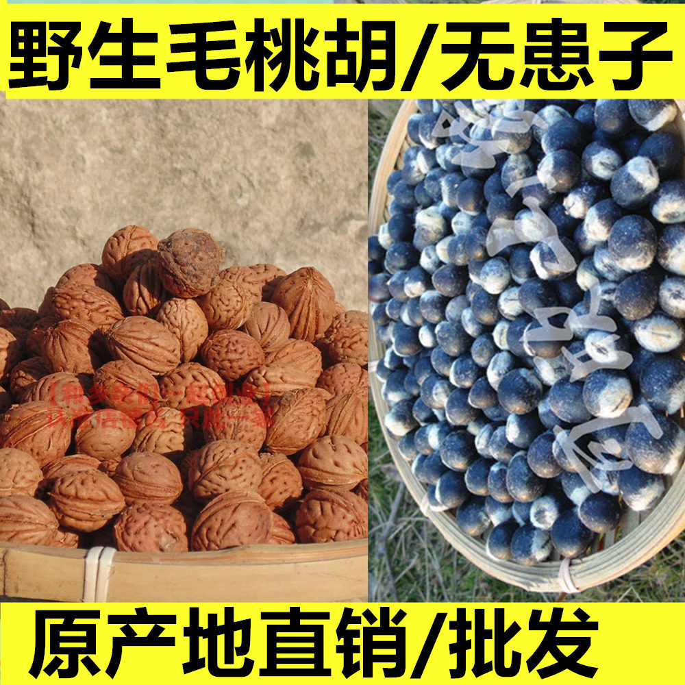 脑纹桃核圆纹野生桃胡无患子文玩菩提雕刻原料手串散籽原籽桃胡核