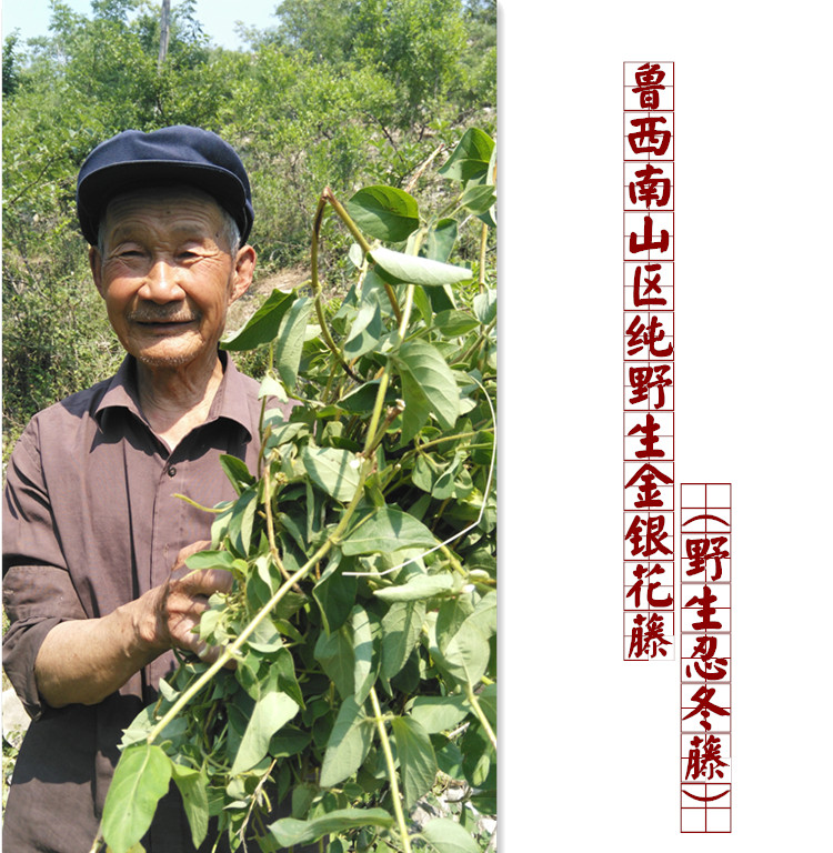 沂蒙山野生忍冬藤 晒干金银花藤  宝宝痱子无激素洗澡新鲜500克