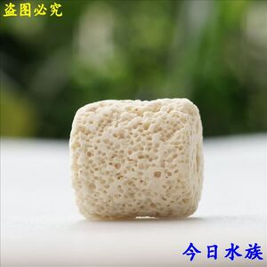 鱼缸水族箱过滤材料生物过滤细菌环硝化细菌培养滤床细菌屋