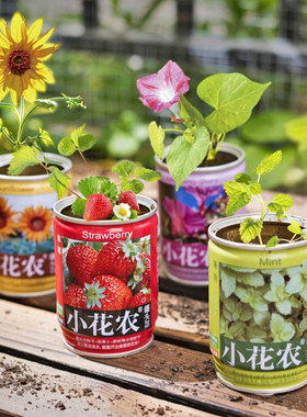 小花农罐头花易拉罐创意迷你发芽盆栽幼儿园养植物种子儿童种植杯