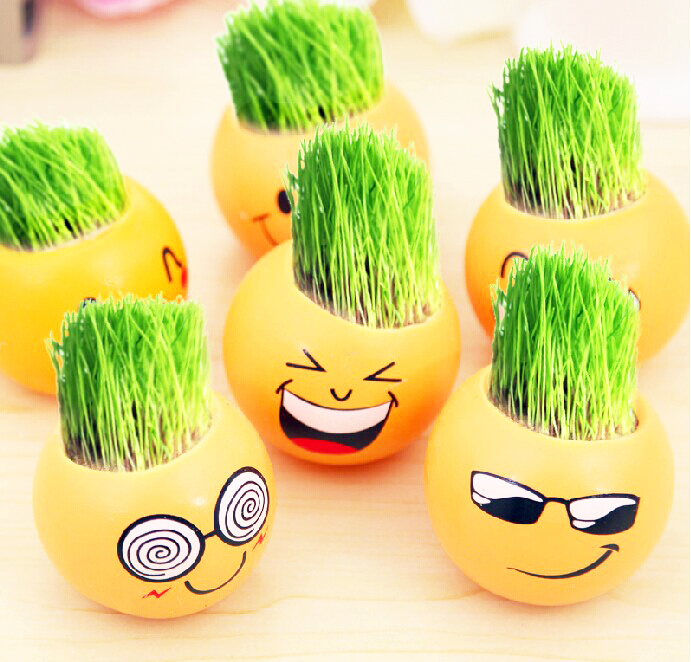 ²ÝÍ·ÍÞÍÞ³¤²ÝСÅèÔÔС²ÝÃÔÄãÖ²Îï´´ÒâÓ×¶ùÔ°DIYÖÖÖ²¶ùͯ¿É°®ÀñÎï