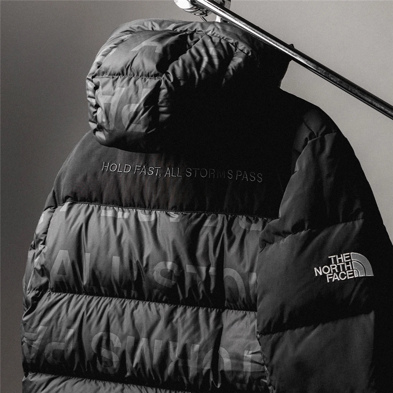 the north face北面conrads flag喜马拉雅 骷髅头小标印花羽绒衣