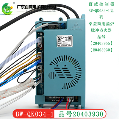 原厂广东百威脉冲点火器20403930