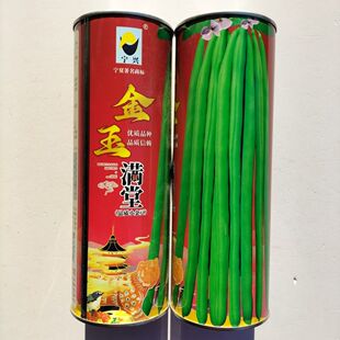 金玉满堂早中熟红花绿荚豆角种子嫩荚无筋肉厚纤维少小金豆长豆角