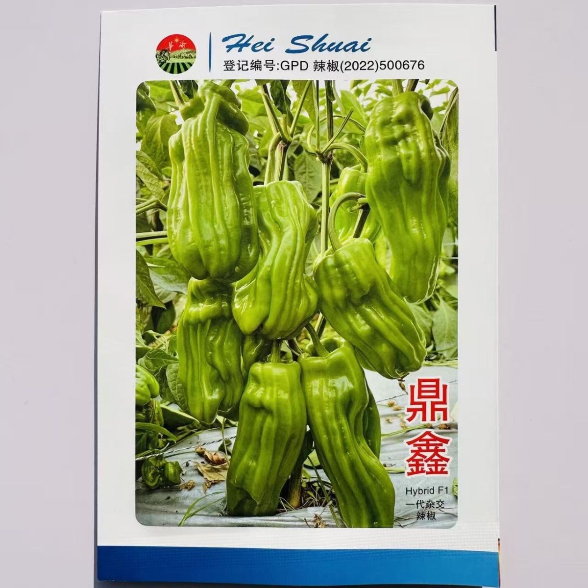 鼎鑫薄皮椒种子早熟皮薄嫩绿马嘴形微辣口感好抗性强产量高春秋播