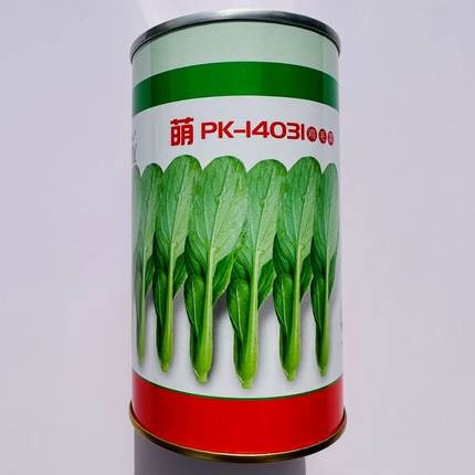 微萌PK14031 鸡毛菜种子耐热青菜抗病耐雨水生长速度快大田用种孑