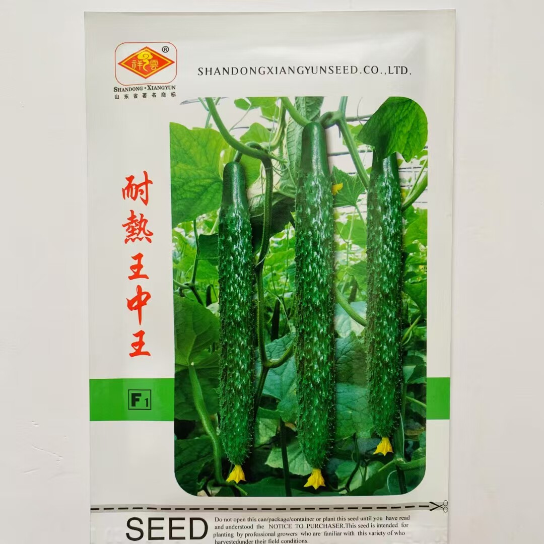 耐热王中王黄瓜种子早熟抗病白刺肉厚清香黄瓜种籽四季蔬菜种子