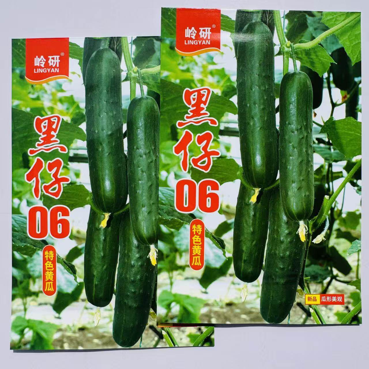 特色绿瓤脆黄瓜黑仔06黄瓜种子岭研墨绿色长黄瓜种子籽特色黄瓜