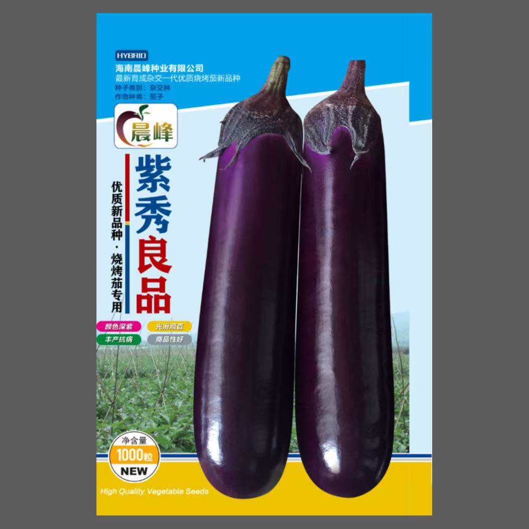 海南紫红烧烤茄种子中熟抗病深紫红长茄种子长势强结果多颜色好