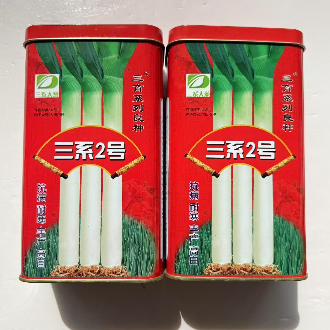 三系育种2号大葱种子 抗霜冻抗病抗倒伏耐寒高产高白章丘大葱200g