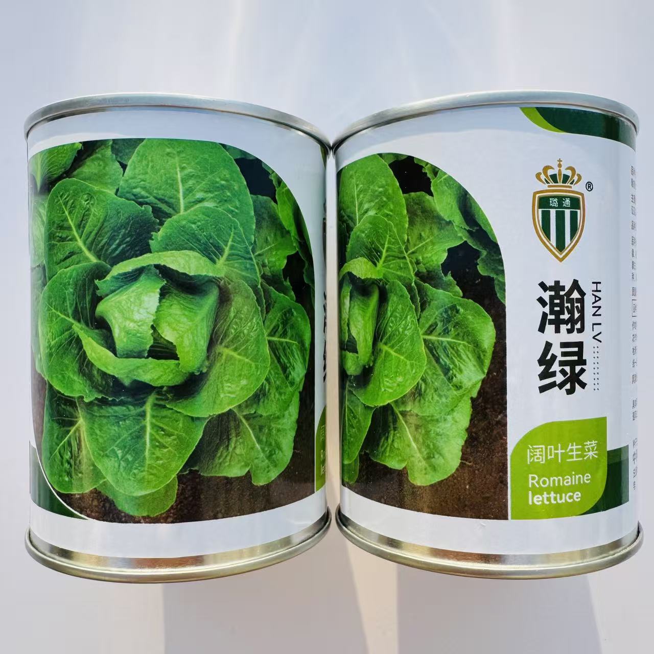 璐通瀚绿阔叶生菜种子株型直立叶片呈绿色口感脆嫩生菜春秋播蔬菜