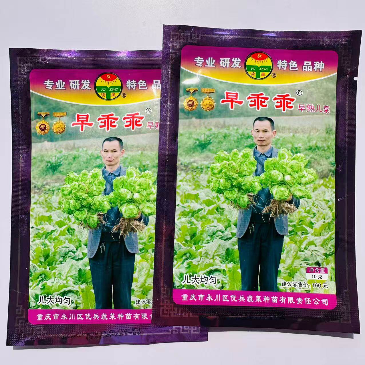 早乖乖儿菜种子早熟儿菜种子秋季抱子芥超生菜种籽娃娃菜种子10g