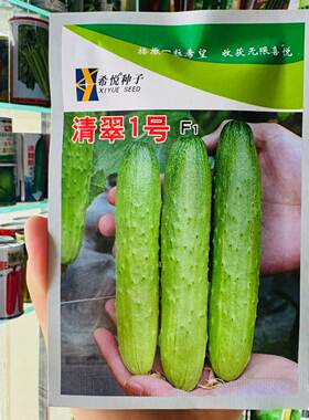 清翠1号全雌水果黄瓜种子高产早熟甜脆生吃小青瓜种籽春秋季种植