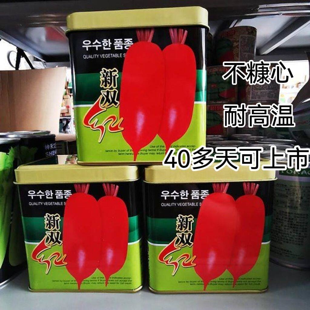 抗热双红萝卜种子满身红萝卜蔬菜种子耐热杂交产量高红皮白肉萝卜