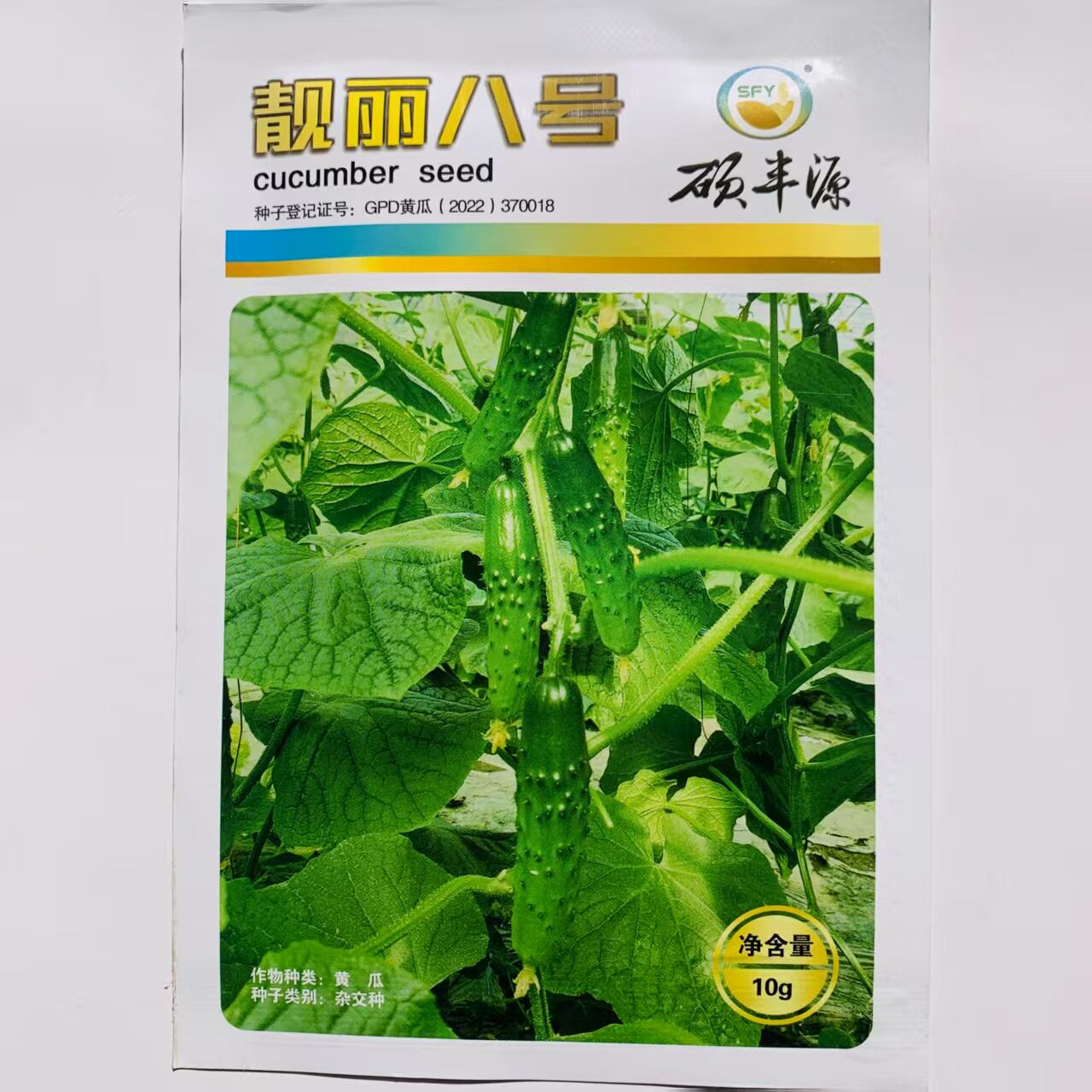 强雌旱黄瓜种子春秋季播水果小黄瓜基地大棚菜园蔬菜籽孑靓丽八号
