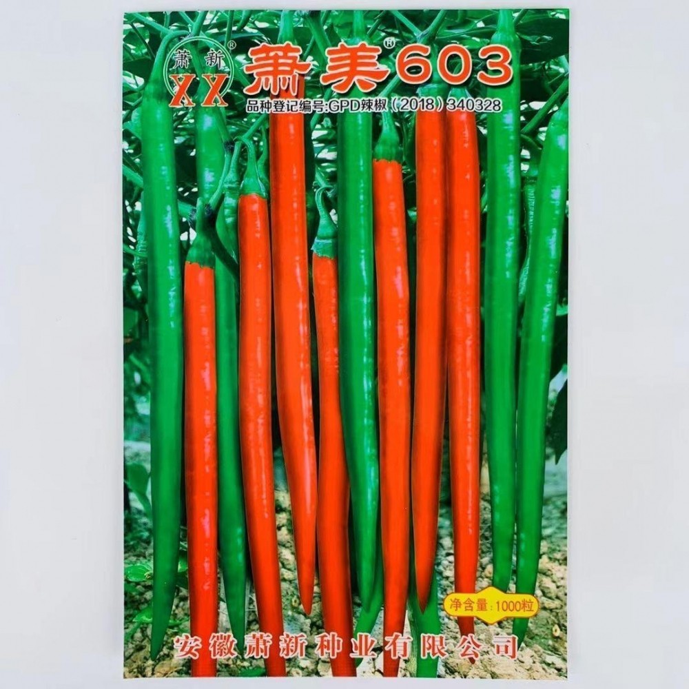 辣椒种子萧美603线椒种果细长羊角型肉厚耐热耐温特抗病辣椒种子