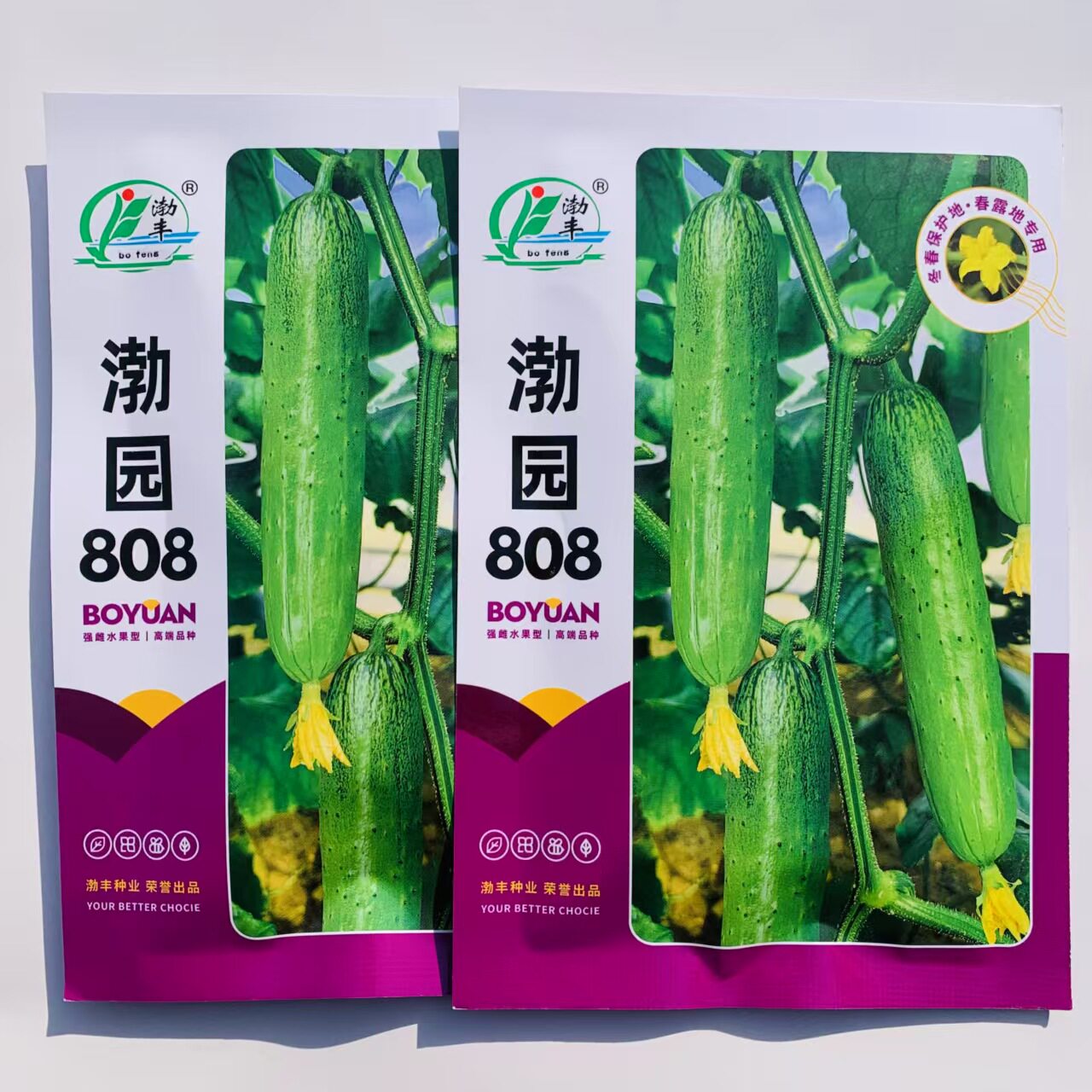 渤园808黄瓜种子强雌型皮薄肉厚绿肉清香甜脆水果旱黄瓜种 籽高产