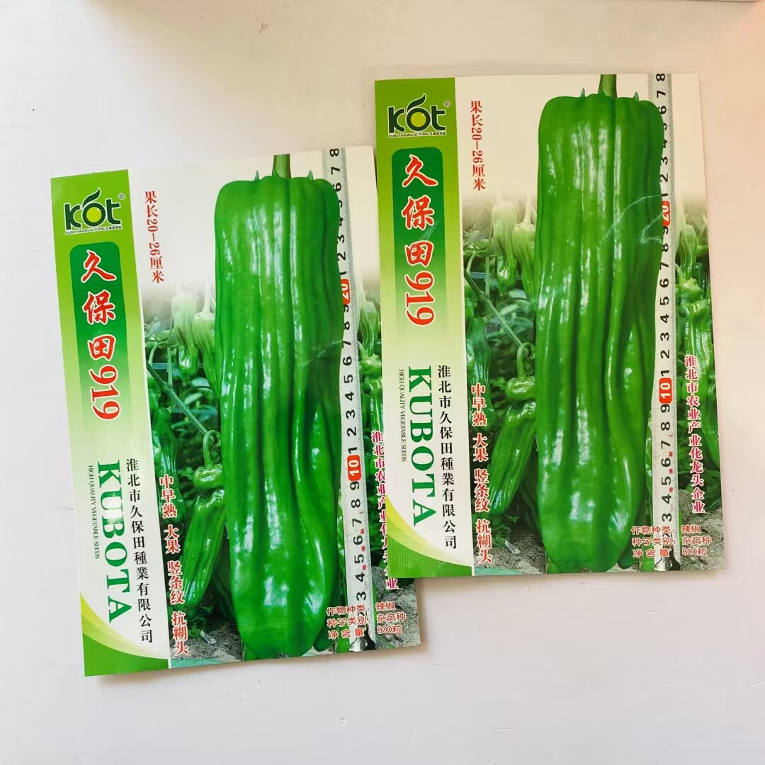 久保田919辣椒种子特大果薄皮椒种籽早中熟绿皮春秋种青椒菜种子