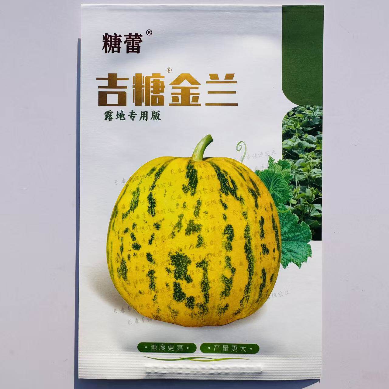 吉糖金兰甜瓜种子高糖大棚改良特甜大果八里香甜瓜种花皮绿肉干瓤