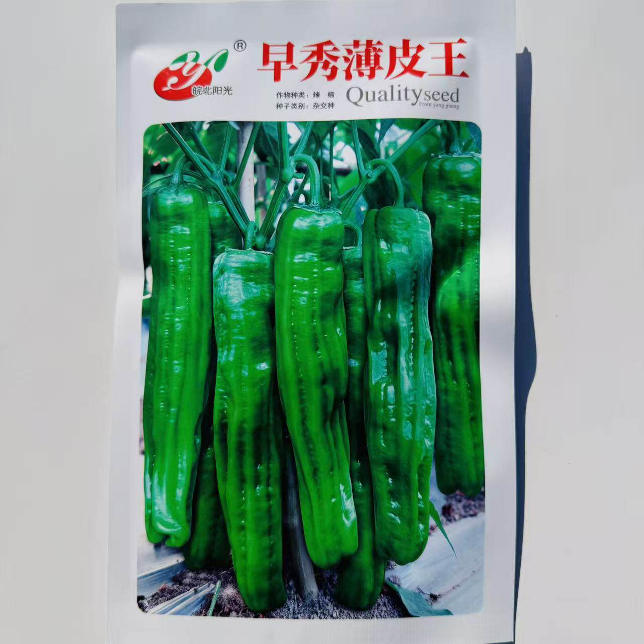 早秀薄皮辣椒种子农家蔬菜种孑四季播庭院辣椒种孑 高产辣椒种籽
