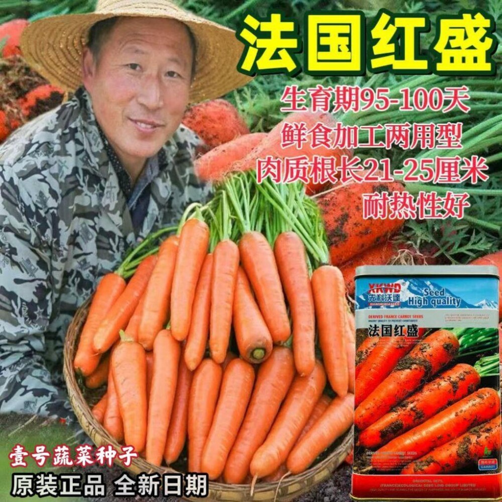 法国红盛胡萝卜种子国外引进四季播大阪艳阳红胡萝卜种籽口感脆甜