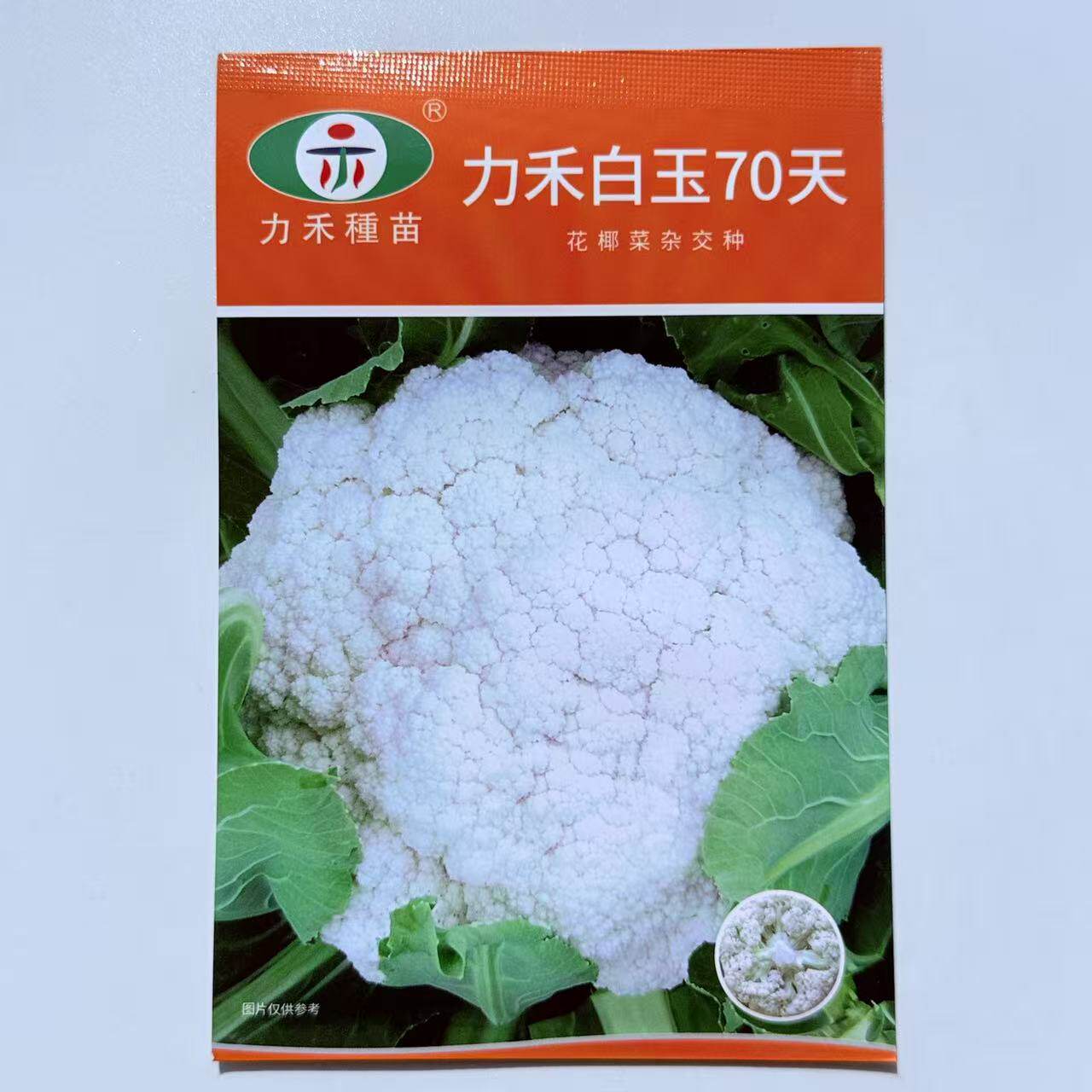 力禾白玉70天杂交花椰菜种子 高产大球单球春秋季种植 花球松梗绿