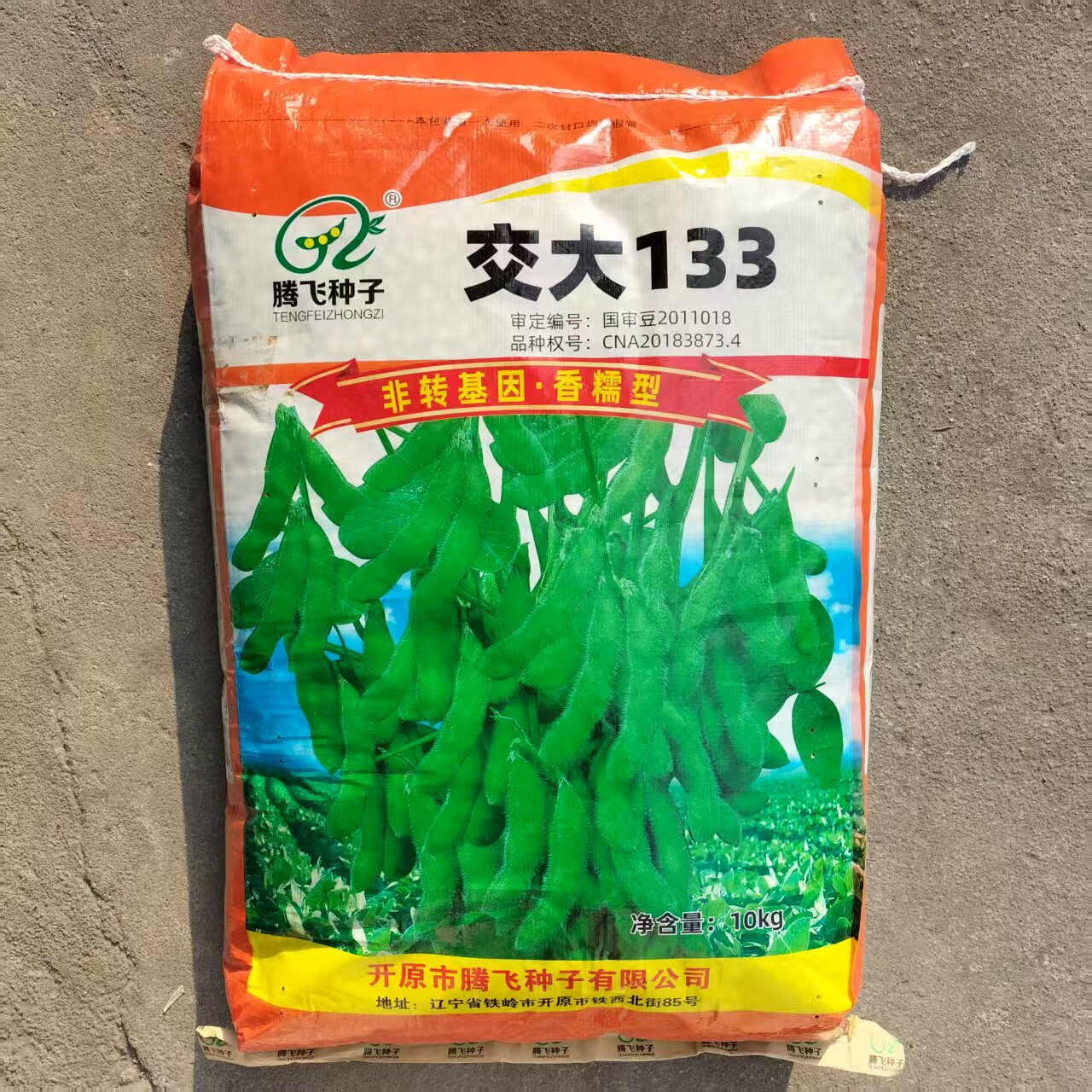 高产早熟大粒香糯型毛豆种子抗病青毛豆种春播夏播毛豆籽蔬菜种子