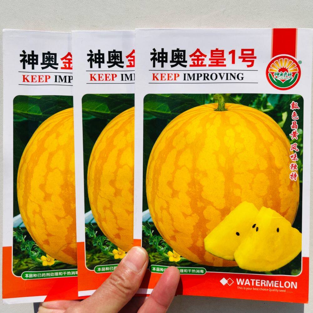 神奥金黄1号礼品黄瓤西瓜种子早熟杂交圆形糖度高黄皮黄肉西瓜籽