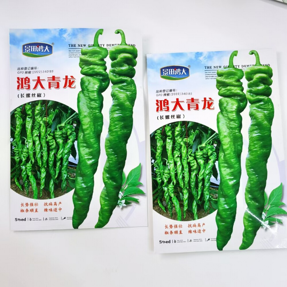 鸿大青龙螺丝椒种子早中熟香辣皮