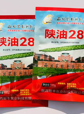 正品陕油28号油菜优质种子耐寒甘蓝型杂交菜籽种高产种子高产抗病