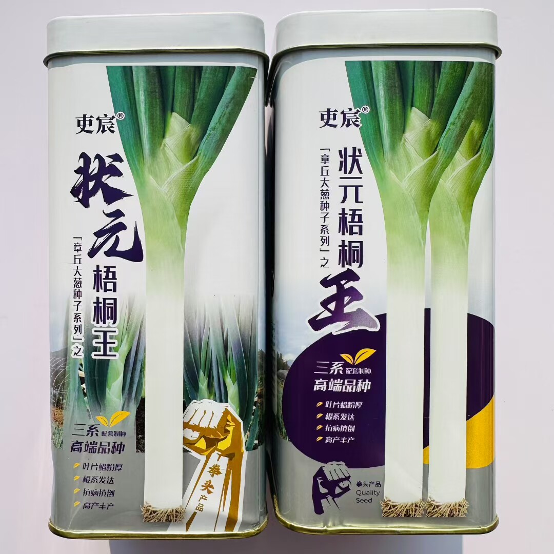 山东章丘大葱种子原装优品耐高温新种子长白葱批发高大葱白高耐寒