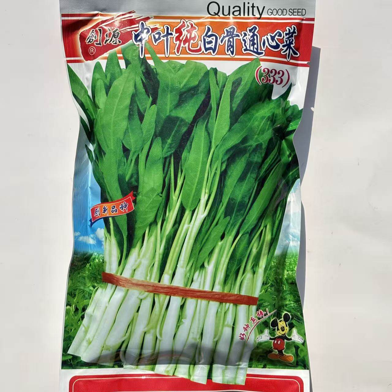 中叶纯白骨通心菜 空心菜种子 脆嫩粗梗高产耐热抗病商品性佳春播