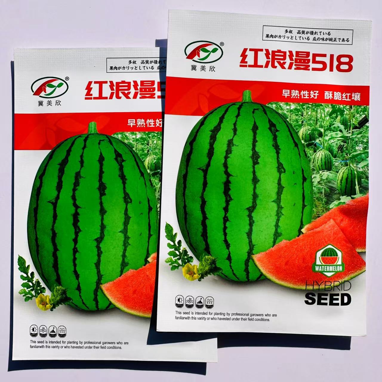 礼品西瓜种子皮薄超甜早熟小果型西瓜种籽糖度高水果种孑酥脆多汁