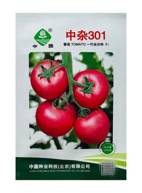 中蔬中杂301番茄种子原装粉红果抗TY病毒酸甜温室大棚西红柿种子