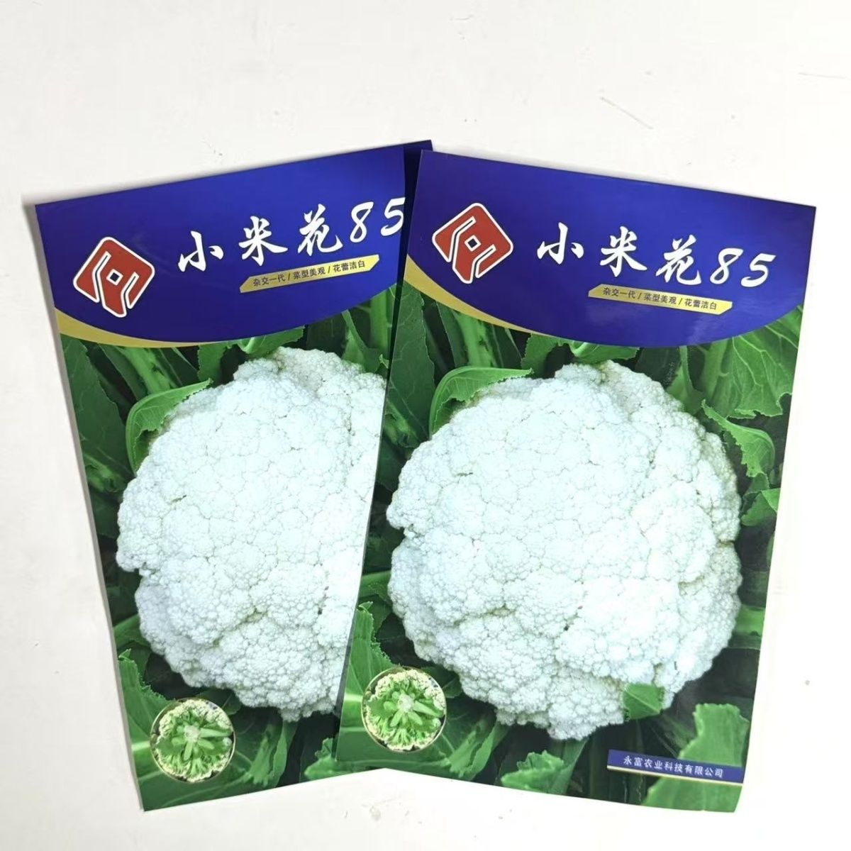 小米花85花菜种子一代杂交中晚熟花椰菜种子花球松大洁白花梗青绿