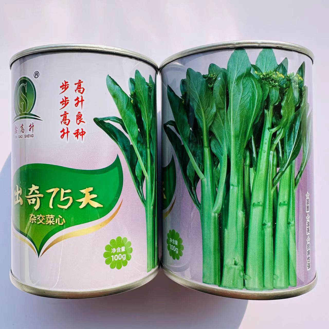 出奇75天杂交尖叶菜心种子抗性好纤维少爽脆味美秋季耐寒菜苔种籽