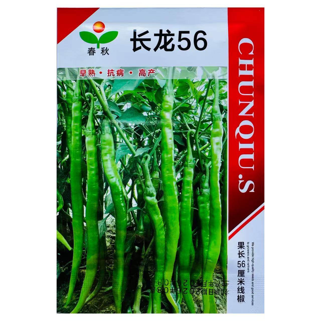 长龙56线椒种子进口特长线椒种子早熟高产辣椒种子种籽蔬菜种孑