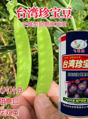台湾珍宝豆豌豆种子白花双花双荚甜脆爽荷兰豆抗病高产春秋大田播