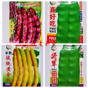 开锅烂真好吃地油豆种子将军架油豆正宗东北大油豆角种红金钩无筋