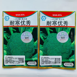 西兰花种子西蓝花种籽日本坂田原装青花菜炎秀优秀耐寒优秀