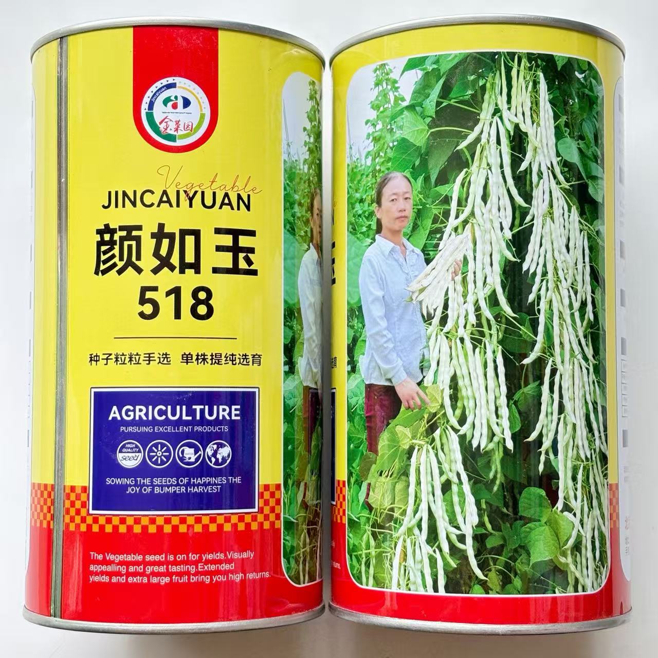 颜如玉518早熟蔓生芸架豆种子扁圆形绿白荚肉厚纤维少抗病春秋播