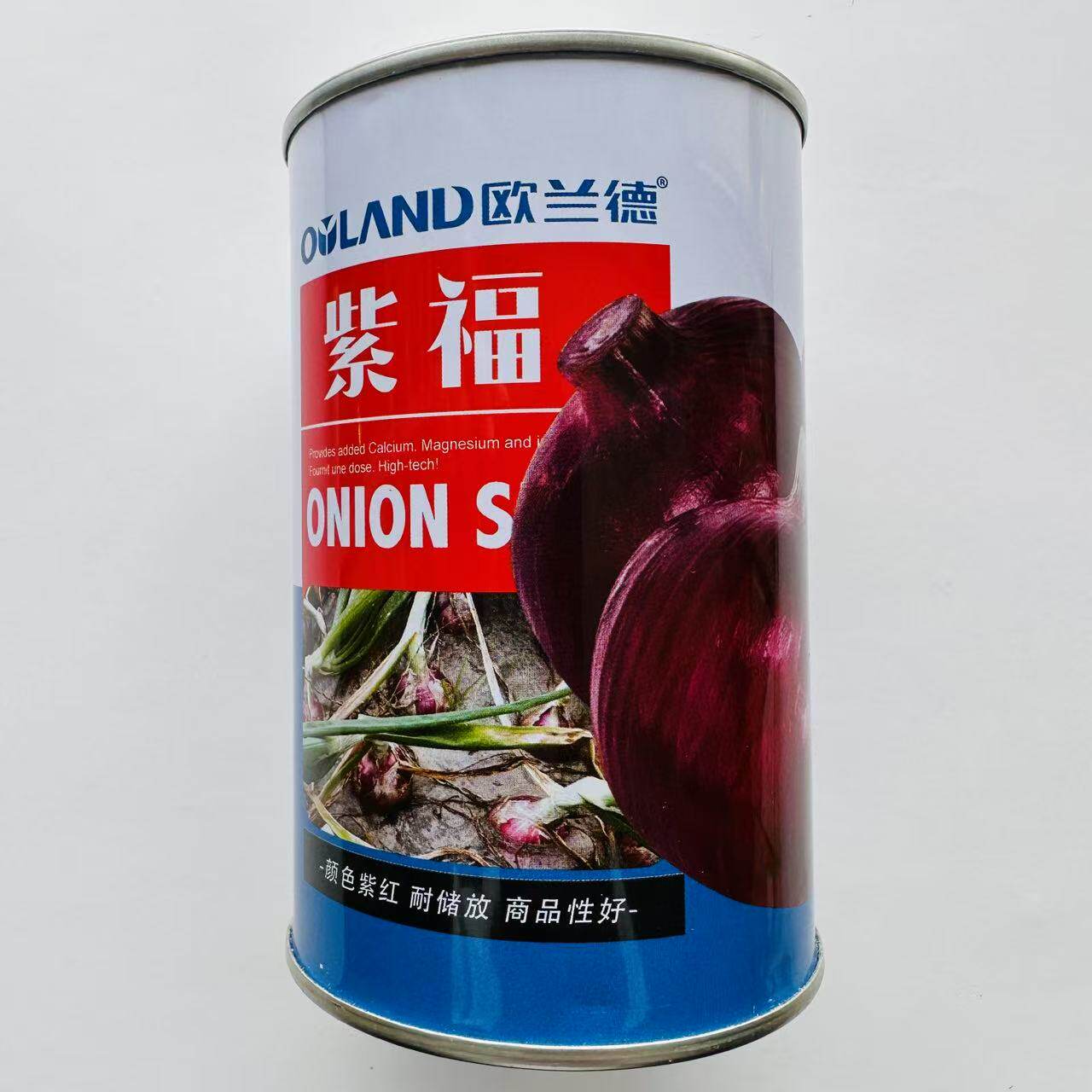 欧兰德紫福洋葱种子 杂交一代深紫红皮中早熟抗病高产紫皮洋葱籽