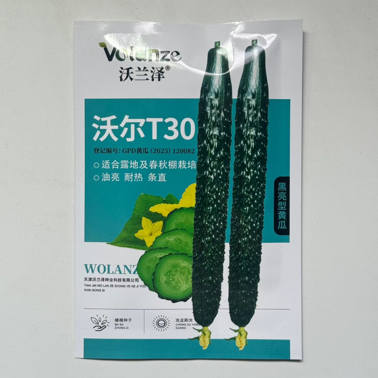 沃尔T30黑亮密刺黄瓜种子中熟强雌耐热油亮顺直青瓜种子春秋种植