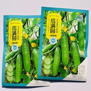 渤丰黄瓜系列瓜满园水果黄瓜种子早熟渤园305渤丰大刺清味黄瓜种