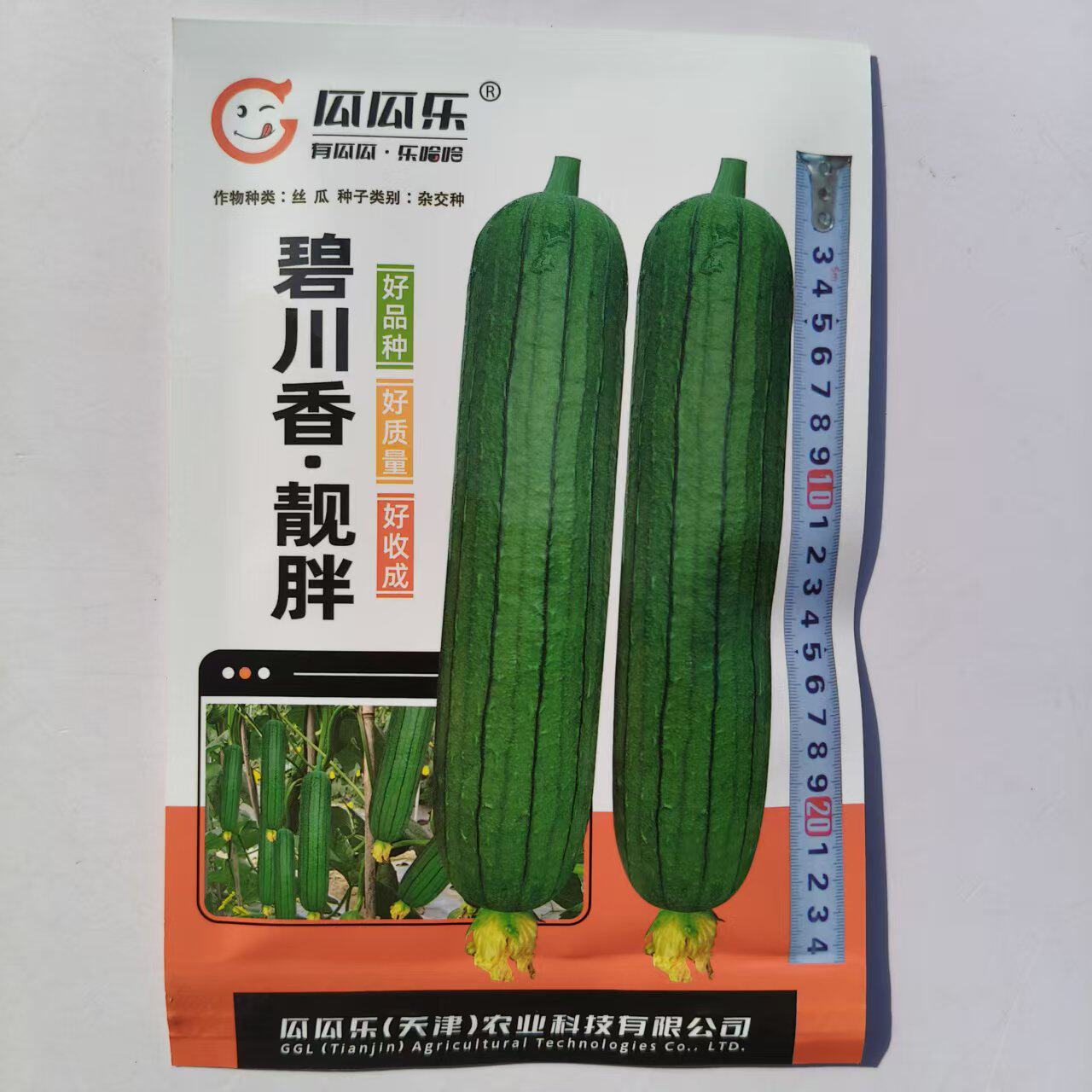 碧川香靓胖油青短棒丝瓜种子早熟杂交硬度好肉质清甜细腻不易褐变