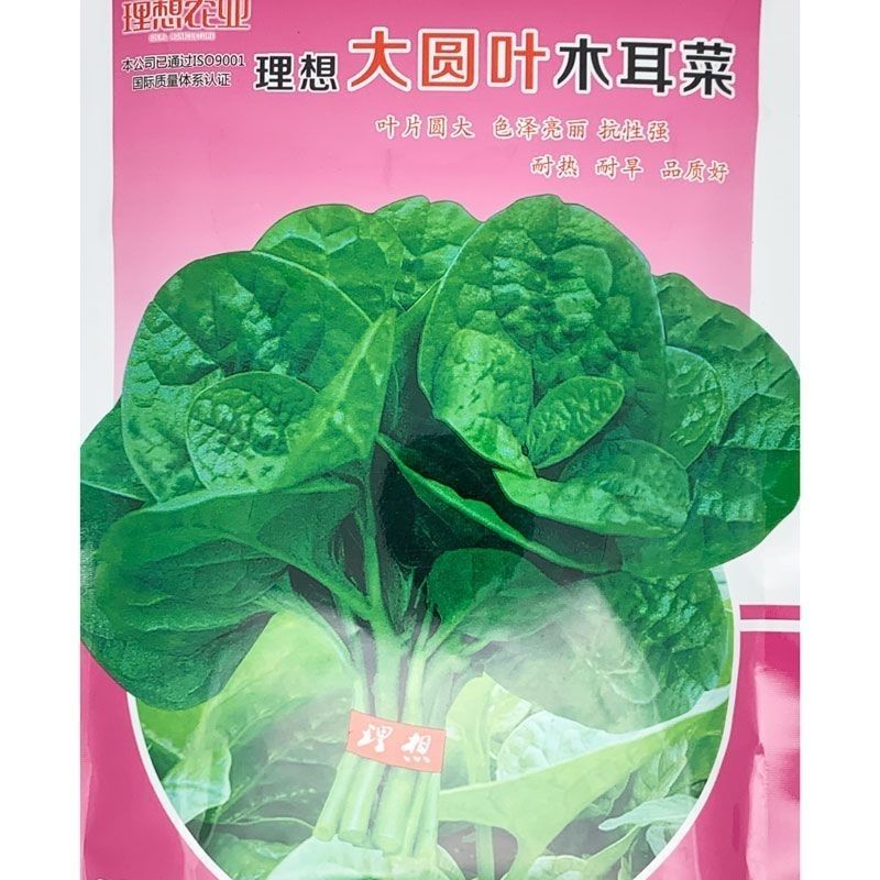 理想农业大圆叶木耳菜种子耐热叶片肥厚猫儿菜农家春四季蔬菜种籽