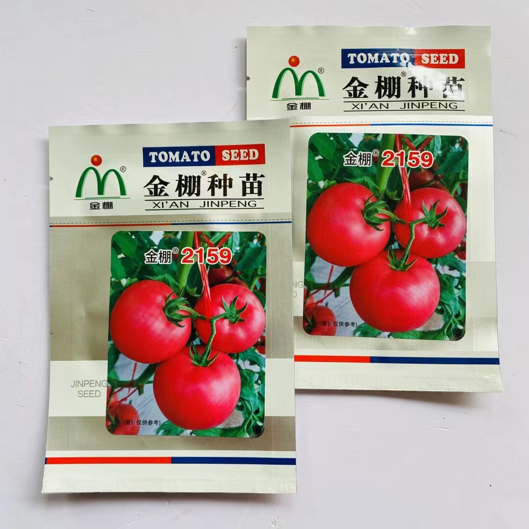 金棚2159粉红番茄种子无限生长抗病无绿肩大果西红柿种籽春秋播种