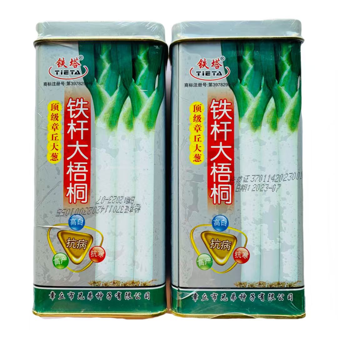 章丘铁杆大梧桐高白大葱种子山东长白葱籽抗病抗寒返青早春秋种植