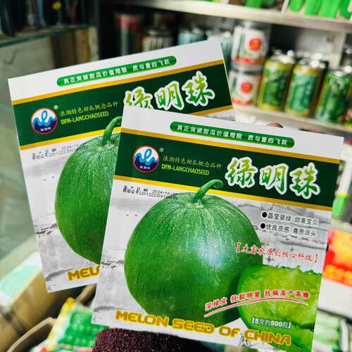 【绿明珠】甜瓜种子绿皮绿壤 含糖量超26% 绿宝石冰翡翠超甜抗裂